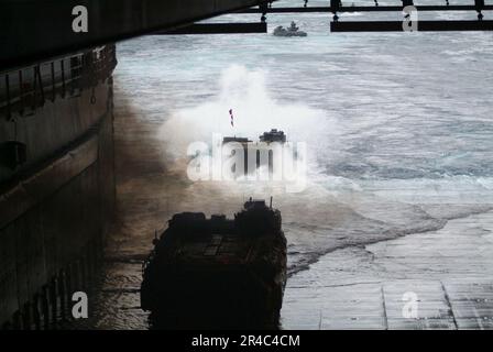 US Navy Amphibious Assault Vehicles (AAV), die der 31. Marine Expeditionary Unit (MEU) zugewiesen sind, verlassen das Bohrlochdeck. Stockfoto