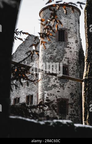 Ein hoher Laubbaum steht vor dem Hintergrund einer weißen Winterszene, mit einem großen, rechteckigen Gebäude im Hintergrund Stockfoto