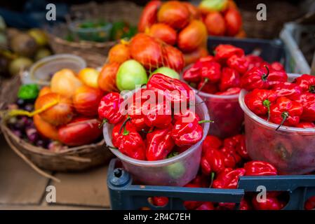 Eine Nahaufnahme von roten Paprika in Kunststoffbehältern auf einem Marktstand Stockfoto