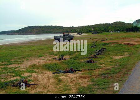 US Navy Royal Thai Marines nehmen an einem gemeinsamen thailändischen und US-amerikanischen Anti-Terror-Szenario während des 25. Jahrestages der jährlichen US-thailändischen Übung Cobra Gold 2006 Teil. Stockfoto