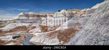 Panoramaaufnahmen von den Klippen des Blue Mesa im Petrified Forest National Park, Arizona, USA Stockfoto