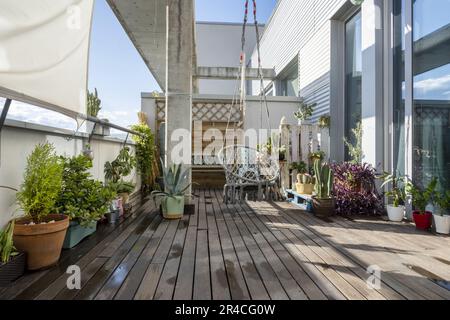 Eine urbane einstöckige Penthouse-Terrasse mit dunklem Holzfußboden mit verschiedenen frisch bewässerten Pflanzen, Aloen und Kakteen und großen Glasfenstern Stockfoto