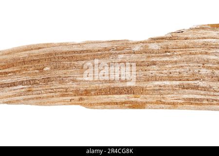 Teil aus Treibholz isoliert auf weißem Hintergrund. Stockfoto