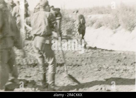 SS-Fotograf Willi Altstadt, Wiking Division, Russland 1942. Dorfszenen in der Gegend von Rostow, ein Panzer III (mit Einheitensymbolen) und panzer Grenadier auf der Steppe, Kampfszenen entlang eines Flusses, Nahaufnahmen der Infanterie auf dem Feld mit individuellen und Besatzungswaffen, eine Flussüberquerung (Überfall und Pontonflöße), Bau eines Straßenblocks, russische Kriegsgefangene, SS-Soldaten zum Angeln und Schwimmen, Zeremonie der Einheiten, Beobachtungsposten mit Blick auf einen Fluss und schwere Artilleriecrew mit Haubitzen. Bilder, die die Front-Front-Aktivitäten der Waffen-SS-Einheiten an der westlichen und östlichen Front zeigen, i. Stockfoto