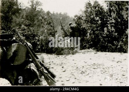 SS-Fotograf Willi Altstadt, Wiking Division, Russland 1942. Dorfszenen in der Gegend von Rostow, ein Panzer III (mit Einheitensymbolen) und panzer Grenadier auf der Steppe, Kampfszenen entlang eines Flusses, Nahaufnahmen der Infanterie auf dem Feld mit individuellen und Besatzungswaffen, eine Flussüberquerung (Überfall und Pontonflöße), Bau eines Straßenblocks, russische Kriegsgefangene, SS-Soldaten zum Angeln und Schwimmen, Zeremonie der Einheiten, Beobachtungsposten mit Blick auf einen Fluss und schwere Artilleriecrew mit Haubitzen. Bilder, die die Front-Front-Aktivitäten der Waffen-SS-Einheiten an der westlichen und östlichen Front zeigen, i. Stockfoto