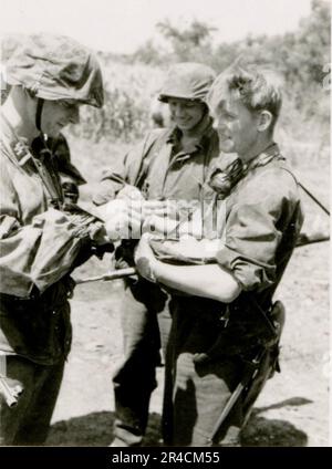 SS-Fotograf Willi Altstadt, Wiking Division, Russland 1942. Dorfszenen in der Gegend von Rostow, ein Panzer III (mit Einheitensymbolen) und panzer Grenadier auf der Steppe, Kampfszenen entlang eines Flusses, Nahaufnahmen der Infanterie auf dem Feld mit individuellen und Besatzungswaffen, eine Flussüberquerung (Überfall und Pontonflöße), Bau eines Straßenblocks, russische Kriegsgefangene, SS-Soldaten zum Angeln und Schwimmen, Zeremonie der Einheiten, Beobachtungsposten mit Blick auf einen Fluss und schwere Artilleriecrew mit Haubitzen. Bilder, die die Front-Front-Aktivitäten der Waffen-SS-Einheiten an der westlichen und östlichen Front zeigen, i. Stockfoto