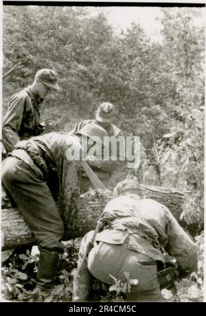 SS-Fotograf Willi Altstadt, Wiking Division, Russland 1942. Dorfszenen in der Gegend von Rostow, ein Panzer III (mit Einheitensymbolen) und panzer Grenadier auf der Steppe, Kampfszenen entlang eines Flusses, Nahaufnahmen der Infanterie auf dem Feld mit individuellen und Besatzungswaffen, eine Flussüberquerung (Überfall und Pontonflöße), Bau eines Straßenblocks, russische Kriegsgefangene, SS-Soldaten zum Angeln und Schwimmen, Zeremonie der Einheiten, Beobachtungsposten mit Blick auf einen Fluss und schwere Artilleriecrew mit Haubitzen. Bilder, die die Front-Front-Aktivitäten der Waffen-SS-Einheiten an der westlichen und östlichen Front zeigen, i. Stockfoto