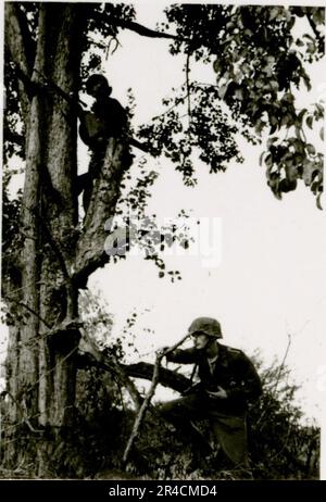 SS-Fotograf Willi Altstadt, Wiking Division, Russland 1942. Dorfszenen in der Gegend von Rostow, ein Panzer III (mit Einheitensymbolen) und panzer Grenadier auf der Steppe, Kampfszenen entlang eines Flusses, Nahaufnahmen der Infanterie auf dem Feld mit individuellen und Besatzungswaffen, eine Flussüberquerung (Überfall und Pontonflöße), Bau eines Straßenblocks, russische Kriegsgefangene, SS-Soldaten zum Angeln und Schwimmen, Zeremonie der Einheiten, Beobachtungsposten mit Blick auf einen Fluss und schwere Artilleriecrew mit Haubitzen. Bilder, die die Front-Front-Aktivitäten der Waffen-SS-Einheiten an der westlichen und östlichen Front zeigen, i. Stockfoto