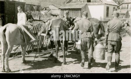 SS-Fotograf Willi Altstadt, Wiking Division, Russland 1942. Dorfszenen in der Gegend von Rostow, ein Panzer III (mit Einheitensymbolen) und panzer Grenadier auf der Steppe, Kampfszenen entlang eines Flusses, Nahaufnahmen der Infanterie auf dem Feld mit individuellen und Besatzungswaffen, eine Flussüberquerung (Überfall und Pontonflöße), Bau eines Straßenblocks, russische Kriegsgefangene, SS-Soldaten zum Angeln und Schwimmen, Zeremonie der Einheiten, Beobachtungsposten mit Blick auf einen Fluss und schwere Artilleriecrew mit Haubitzen. Bilder, die die Front-Front-Aktivitäten der Waffen-SS-Einheiten an der westlichen und östlichen Front zeigen, i. Stockfoto