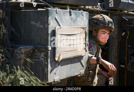 Ein Soldat wird am 20. Mai 2023 in einem Infanteriefahrzeug in der Nähe von Tapa, Estland, gesehen. Estland veranstaltet im Frühjahr die NATO-Übungen im Sturm, an denen über 13 Mitarbeiter beteiligt sind, die zusammen mit den estnischen Streitkräften (EDF) Schulungen der US-amerikanischen, deutschen, britischen, französischen und polnischen Streitkräfte absolvieren. (Foto: Jaap Arriens / Sipa USA) Stockfoto