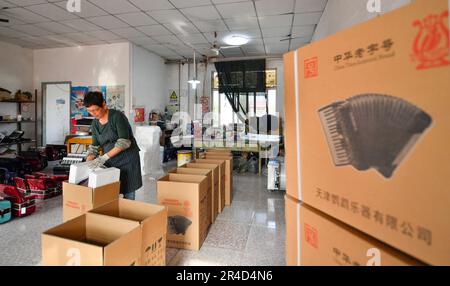 (230527) -- TIANJIN, 27. Mai 2023 (Xinhua) -- Ein Arbeiter packt Akkordeons in einer Werkstatt von Tianjin Yingwu Musical Instrument Co., Ltd. In der Stadt Zhongwang im Bezirk Jinghai, Nordchina Tianjin, 25. Mai 2023. Tianjin Yingwu Musical Instrument Co., Ltd. Ist ein Unternehmen mit einer 71-jährigen Geschichte in der Akkordeonherstellung. In den 1950er Jahren produzierte seine Vorgängerin Tianjin Musical Instrument Factory das erste Akkordeon im neuen China mit der Marke „Yingwu“. Von da an wurden die hier hergestellten Yingwu-Akkordeons zu Hause und im Ausland berühmt. In den letzten Jahren hat das Unternehmen seine Tätigkeit ausgeübt Stockfoto