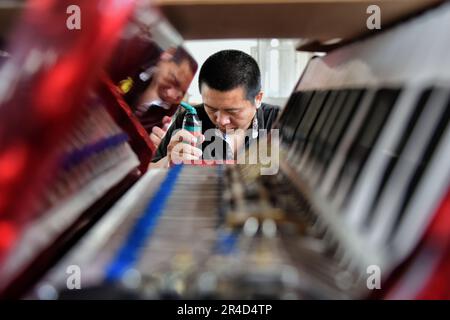 (230527) -- TIANJIN, 27. Mai 2023 (Xinhua) -- Ein Arbeiter produziert Akkordeons in einer Werkstatt von Tianjin Yingwu Musical Instrument Co., Ltd. In der Stadt Zhongwang im Bezirk Jinghai, Nordchina Tianjin, 25. Mai 2023. Tianjin Yingwu Musical Instrument Co., Ltd. Ist ein Unternehmen mit einer 71-jährigen Geschichte in der Akkordeonherstellung. In den 1950er Jahren produzierte seine Vorgängerin Tianjin Musical Instrument Factory das erste Akkordeon im neuen China mit der Marke „Yingwu“. Von da an wurden die hier hergestellten Yingwu-Akkordeons zu Hause und im Ausland berühmt. In den letzten Jahren hat das Unternehmen seine Tätigkeit ausgeübt Stockfoto