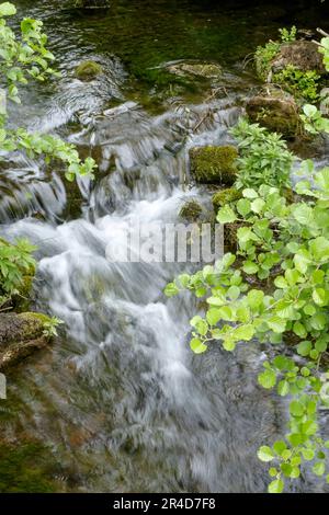 Rund um die Cheddar Gorge eine Touristenattraktion in Somerset, Großbritannien. Der Cheddar Yeo, der durch die Schlucht fließt. Stockfoto