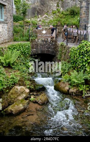 Rund um die Cheddar Gorge eine Touristenattraktion in Somerset, Großbritannien. Teegarten im Café Gorge. Plappernder Bach Stockfoto