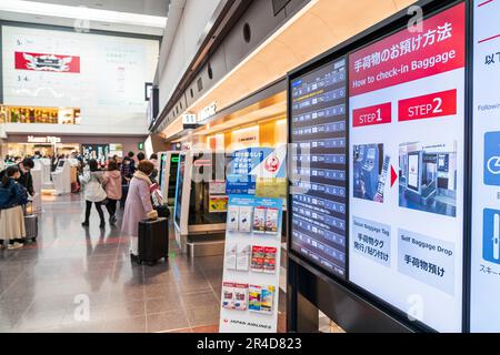 Videoanzeige an der Wand zur Gepäckabfertigung und Informationen zum Abflug, Hintergrund, Unscharfstellung Personen, die Gepäck aufgeben. Flughafen Haneda. Stockfoto