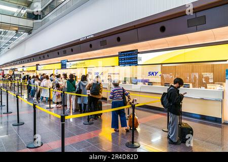 Personen, die sich am Gepäckabgabeschalter von Skymark Airlines im Nordflügel von Terminal 1 am Flughafen Haneda in Tokio anstellen. Stockfoto