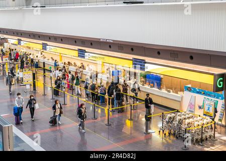 Blick von oben auf Personen, die am Gepäckabgabeschalter von Skymark Airlines im Nordflügel von Terminal 1 am Flughafen Haneda in Tokio anstehen. Stockfoto