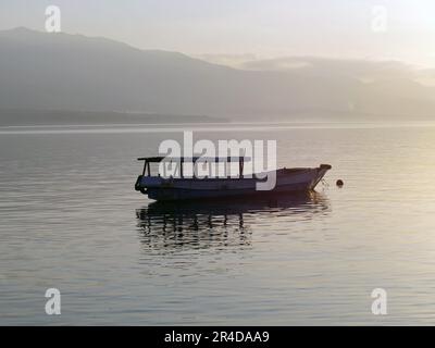 Nahaufnahme der Hand, die Kaffeebohnen hält Stockfoto