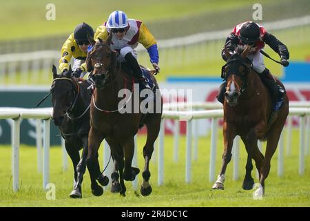 Timourid Riaded by J M Sheridan gewinnt das Novibet Guineas Festival Handicap auf der Curragh Racecourse in County Kildare, Irland. Foto: Samstag, 27. Mai 2023. Stockfoto