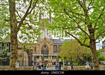 London Bridge Southwark Cathedral mit Bäumen im Frühling Stockfoto