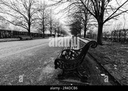 Eines der Dinge, von denen ich beeindruckt bin, sind alle Parks in London. Ich rede nicht von einem kleinen Grasfeld mit einer Bank und einem Baum darin. Großes Par Stockfoto