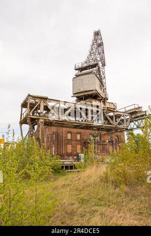 Danzig, kaiserliche Werft, Polen - 01. Mai 2019: Milk Peter, eine Kunstgalerie in der kaiserlichen Werft. Alter Kran im Vordergrund. Stockfoto