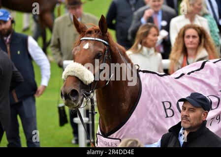 Giavellotto und Andrea Atzeni, der Boodles Yorkshire Cup Stockfoto
