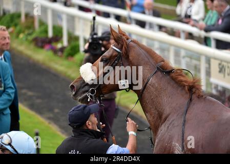 Giavellotto und Andrea Atzeni, der Boodles Yorkshire Cup Stockfoto