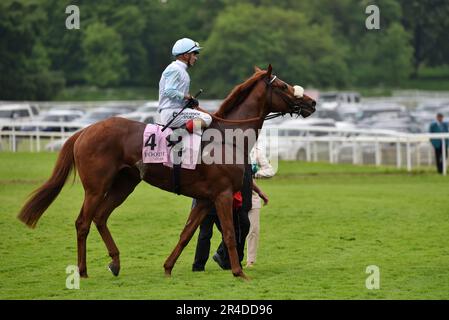 Giavellotto und Andrea Atzeni, der Boodles Yorkshire Cup Stockfoto