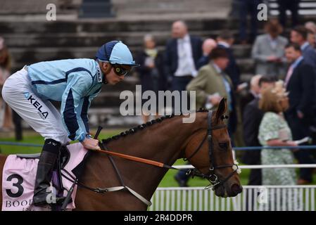 Holen Sie Shirty und Jason Watson Stockfoto