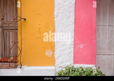 Farbenfroh bemalte Wände zwischen zwei Fenstern in Cartagena Colombia Stockfoto