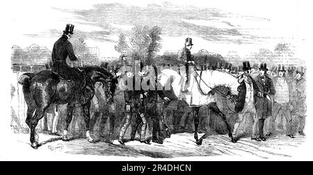 Epsom Races: Der Gewinner, nach dem Rennen, 1856. Pferde, Besitzer und Jockeys. 'Fly-by-Night' war sehr gefragt. Zuerst waren 15 bis 1 über ihn gebucht, auf mehrere hundert Pfund. Die letzte Wette, die uns bekannt gegeben wurde, war 12 bis 1 bis &#XA3;300. Ellington 1000 bis 60 wurde zwölf Mal genommen. Der Leichenbeschauer, von dem immer berichtet wurde, dass er dem Gelben Jack um viele Pfund unterlegen war, überzeugte anscheinend diejenigen, die das Gerücht in Misskredit gebracht hatten, dass der Besitzer der beiden Pferde doch am besten mit ihren relativen Verdiensten vertraut sei; 40 bis 1 wurden gegen den Gerichtsmediziner angeboten, während sein Stall Stockfoto