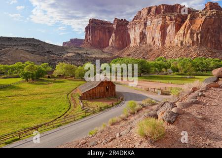 Gifford-Scheune auf der Straße im Capitol Reef National Park Stockfoto