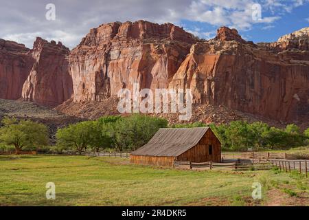 Gifford-Scheune in Fruita im Capitol Reef National Park Stockfoto