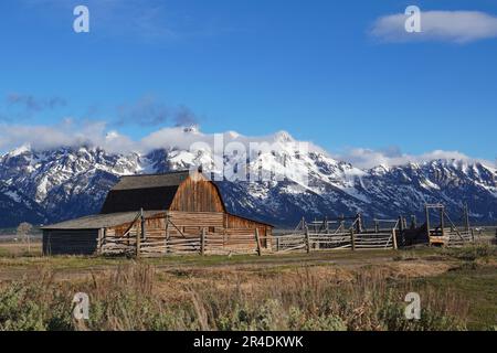 John Moulton Barn an der Mormon Row im Grand Teton National Park in Wyoming Stockfoto