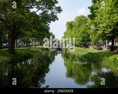 Der Canale Grande in Dublin, Irland. Stockfoto