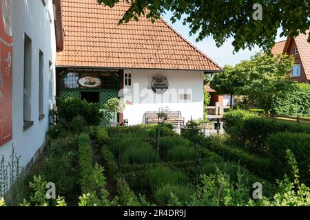 Wilhelm Busch Museum in Wiedensahl. Stockfoto