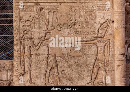 Detail der Wandschnitzereien am Tempel des gottes Khnum, Esna 41-251 n. Chr. Stockfoto