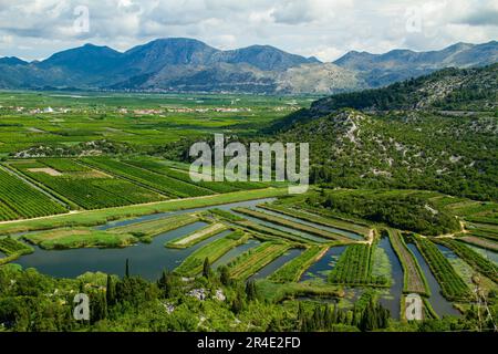 Die wichtigste Ebene Kroatiens ist das fruchtbare Delta am Fluss Neretva. Stockfoto