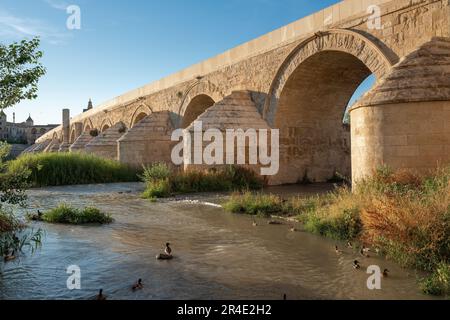 Römische Brücke von Cordoba am Fluss Guadalquivir - Cordoba, Andalusien, Spanien Stockfoto