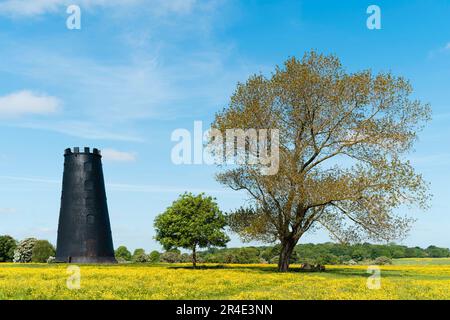 Westwood Park und Golfplatz mit stillgelegter Windmühle, umgeben von blühenden Butterblumen und flankiert von Bäumen unter blauem Himmel im Frühling. Beverley, Großbritannien. Stockfoto