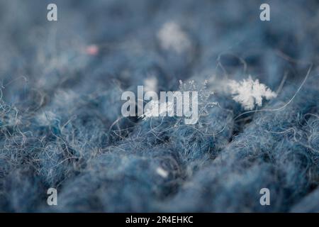 Schneeflocke im Winter Stockfoto