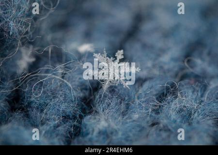 Makro-Schneeflocke auf Blau Stockfoto