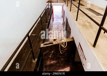 Chiqueros, wo der Stier bleibt, bevor er zum Ring geht. Die Stierkampfarena von Melilla, auch bekannt als die Moschee der Stierkämpfe, Mezquita d Stockfoto