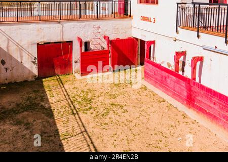 Corrales, wo die Bullen warten, bevor sie in den Ring kommen. Die Stierkampfarena von Melilla, auch bekannt als die Moschee der Stierkämpfe, Mezquita del tore Stockfoto