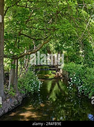 Eine lange Exposition von Wolf Creek, einem fließenden Bach mit kleinen Wasserfällen und einem gläsernen Wasserbecken. In Ridgefield, New Jersey, USA. Aufgenommen im Frühling. Stockfoto