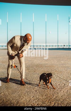 Selektiver Fokus auf einen kahlen schwarzen Geschäftsmann in einem leichten Anzug auf Lissabons Kopfsteinpflaster. Er lächelt seinen Hund hinreißend an und benimmt sich komisch. Wi Stockfoto