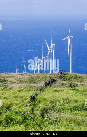 Die Überreste einer alten Hawaii-Mauer vor den Auwahi-Windturbinen an der Südostküste von Maui, Hawaii, die gemeinsam im Besitz von Sempra U.S. sind G Stockfoto