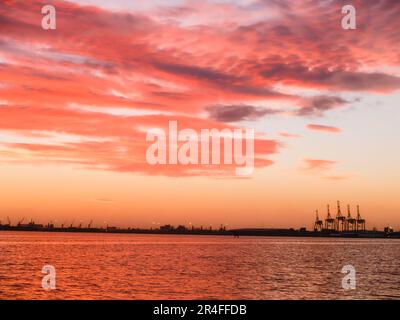 Auswirkung des brillanten Sonnenaufgangs am Morgen über dem Hafen von Tauranga. Stockfoto