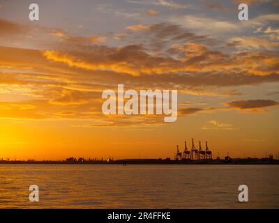 Auswirkungen des brillanten Sonnenaufgangs über dem Hafen von Tauranga Containerkräne in der Ferne, Neuseeland. Stockfoto